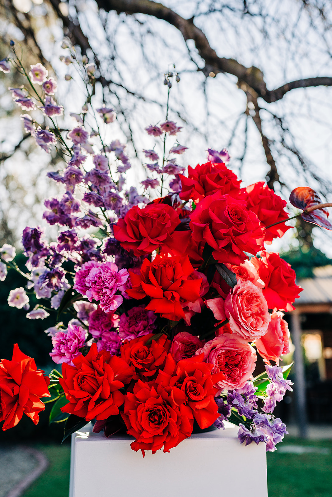 close up of plinth flowers